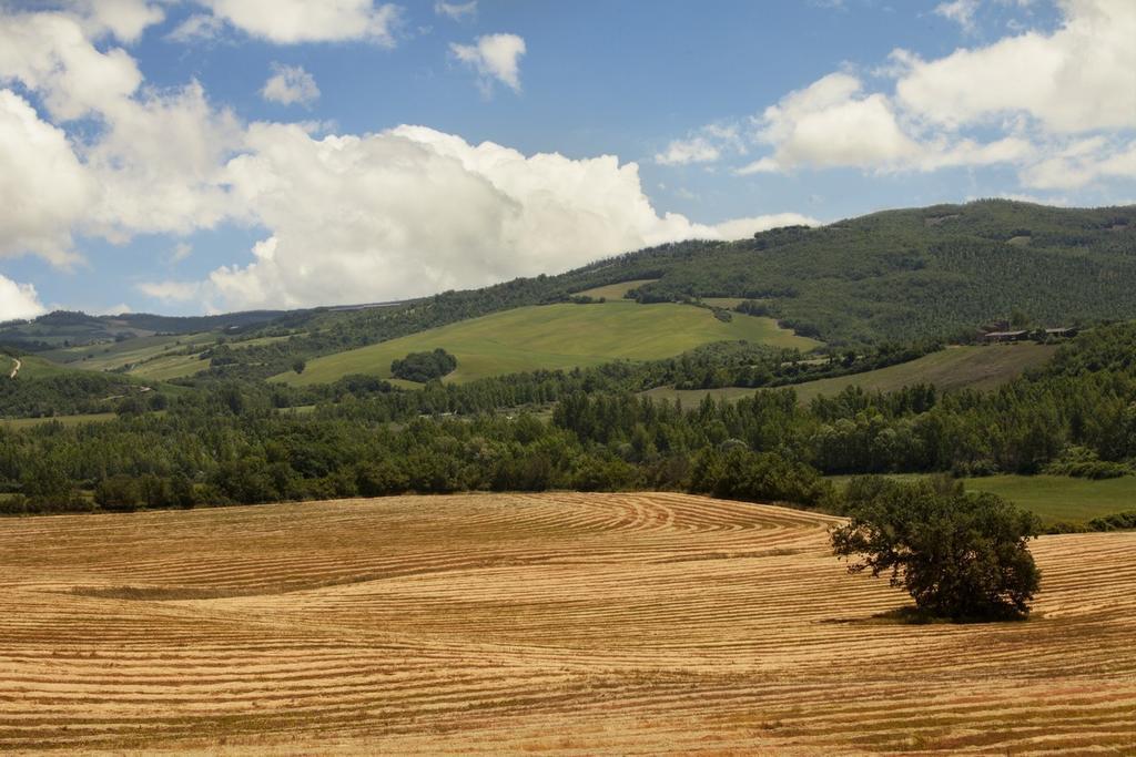 Agriturismo Piettorri Casole dʼElsa Værelse billede